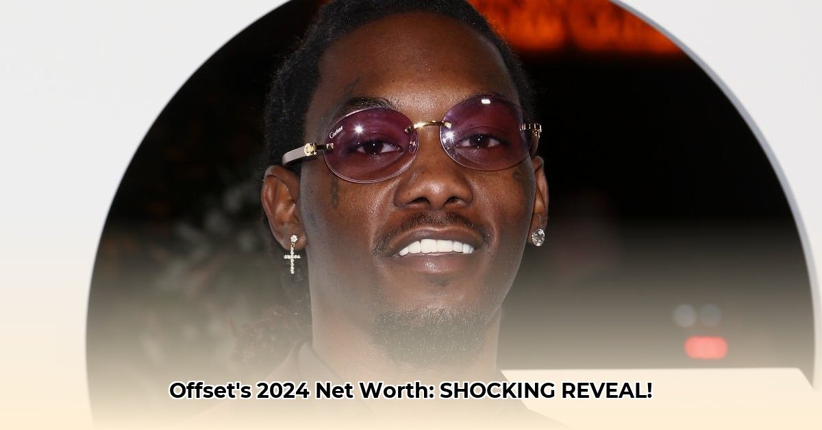 what-is-offsets-net-worth